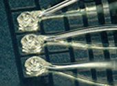 IC使用例