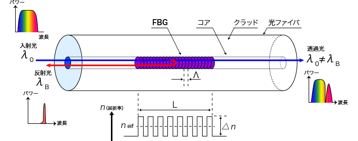 FBG 構造・仕様 画像