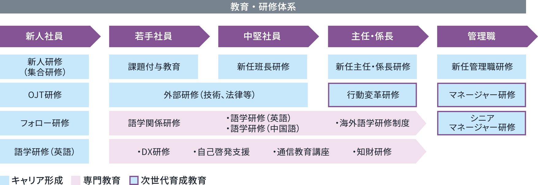 教育・研修体系図